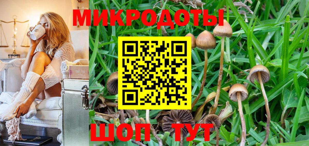 Псилоцибиновые грибы Psilocybe  Псилоцибиновые грибы GOLDEN TEACHER  Вход с VPN  Реутов 